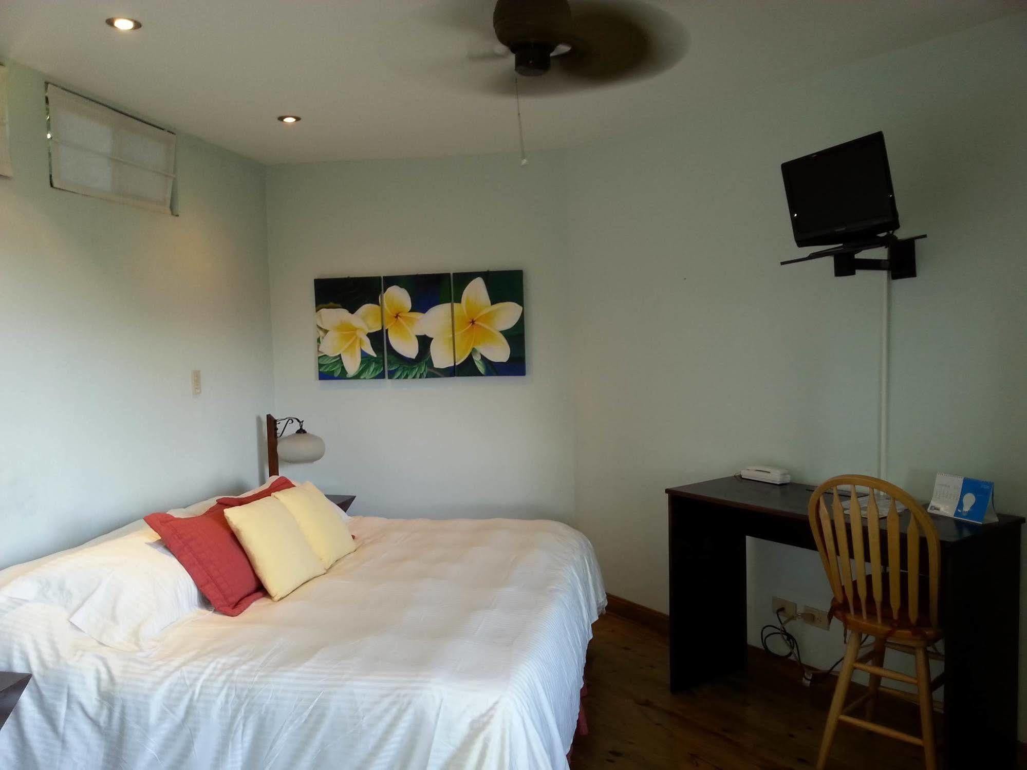 Out Of Bounds Boutique Hotel San Jose  Bagian luar foto