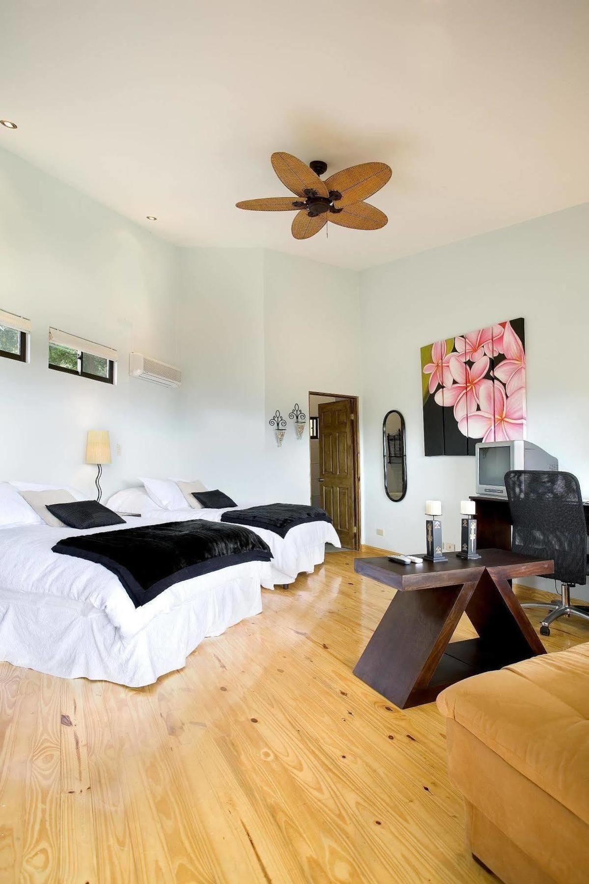 Out Of Bounds Boutique Hotel San Jose  Bagian luar foto